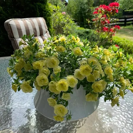 Alojamento de Acomodação e Pequeno-almoço Na Skarpie 3*