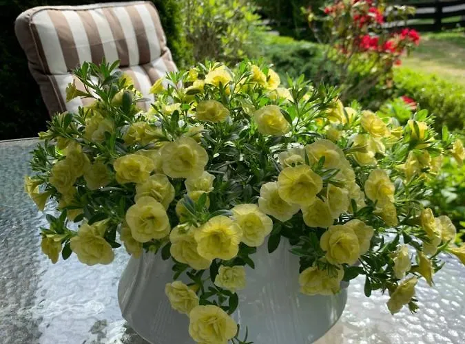 Bed & Breakfast Na Skarpie 3*