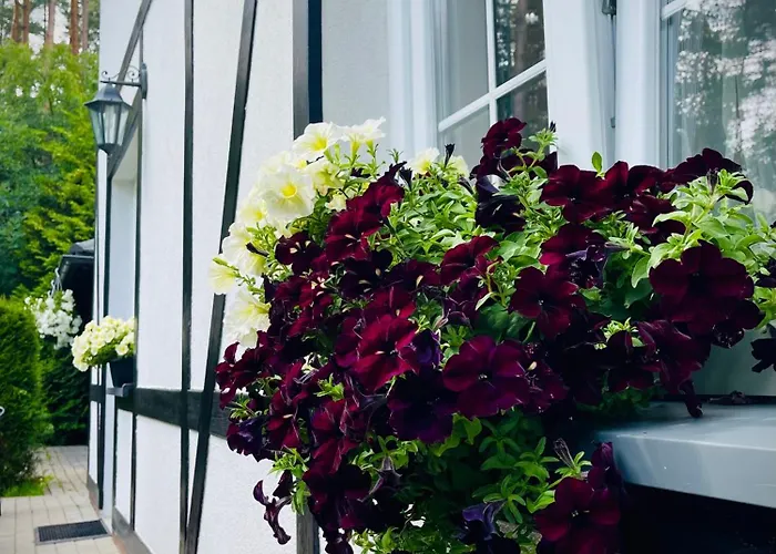 Na Skarpie Debina (Ustka)